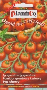 Pomidor Gruntowy Maskotka 0,5 g.