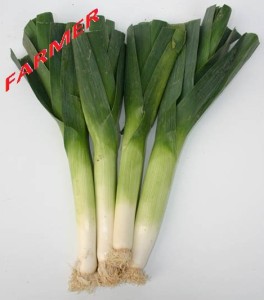 Por Blauwgroene Winter- Blizzard 50 g.