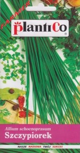 Szczypiorek Ogrodowy 1 g. 