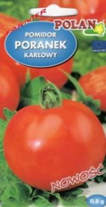 Pomidor Gruntowy Poranek 0,5 g.