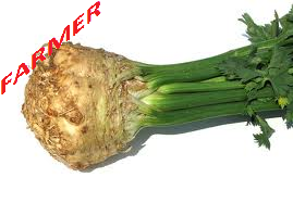 Seler Prinz 10 000n.