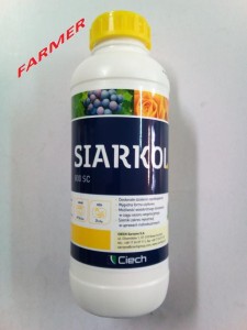 Siarkol 800 SC 1 l.
