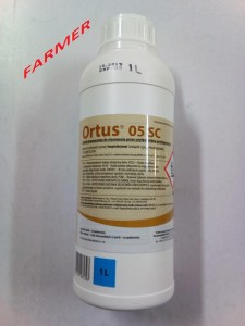 Ortus 05 SC 1 l.