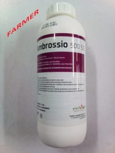 Ambrossio 500 SC 1 l.