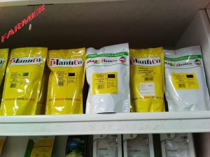 Cebula Bila 500 g.