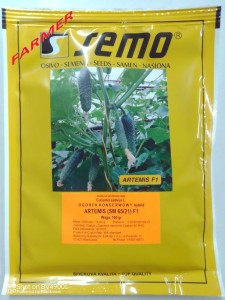 Ogórek Artemis F1 100 g.