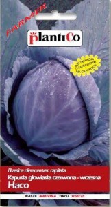 Kapusta Głowiasta Czerwona Haco 2 g.