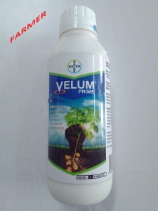 Velum Prime 1 l.
