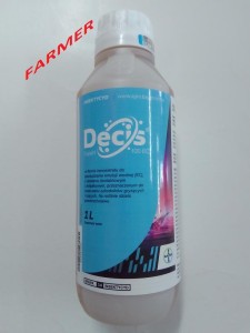 Decis Expert 100 EC 1 l.