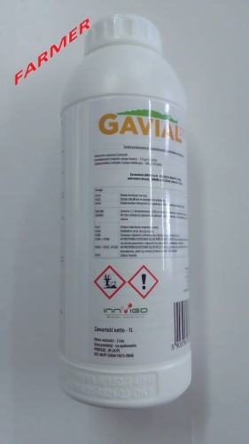 gavial 1 l..jpg