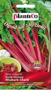 Burak Liściowy Rhubarb Chard 5 g.