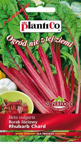 burak liściowy rhubarb chard.jpg