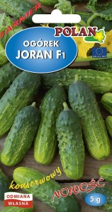 Ogórek konserwowy  Joran F1 5 g.
