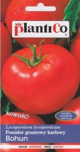 Pomidor Gruntowy Bohun 1 g.