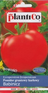 Pomidor Gruntowy Babinicz 1 g.