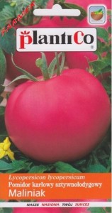 Pomidor Gruntowy Maliniak 0,5 g.