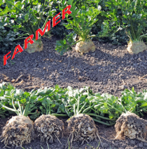 Seler Diamant  10 000n.