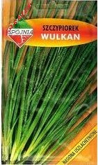 Szczypiorek Wulkan 100 g.